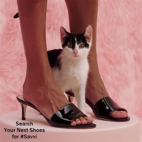 Do You Want The Cat Or Sandals Dont Miss These Kitten Heels Today On