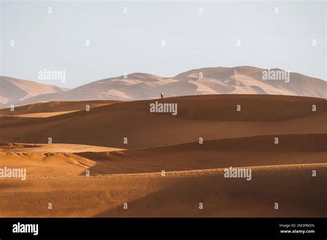 Lonely Walker In Sahara Desert Merzouga Person Morocco Stock Photo Alamy