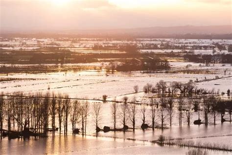 Could Somerset Levels flooding disaster happen again? We spoke to experts and residents ...