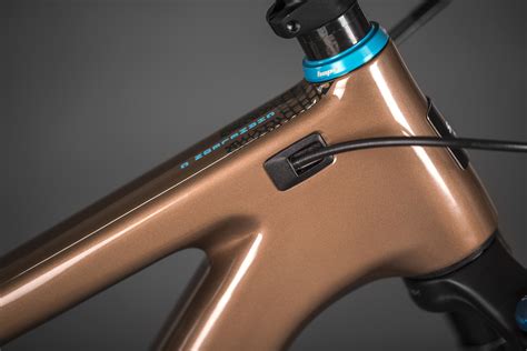 Details Of New Santa Cruz Carbon Chameleon Mbr