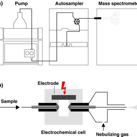 Schematic Diagrams Of The Flow Injection Analysis System A And The Download Scientific