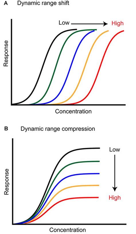 Frontiers Stimulus Driven Functional Transformations In The Early