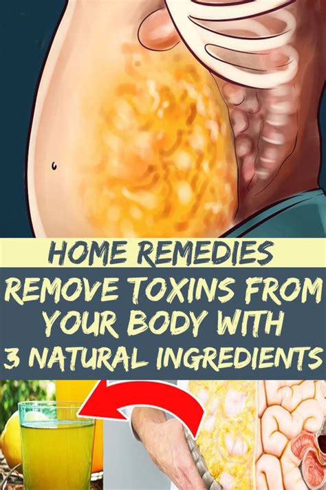 Remove Toxins From Your Body With 3 Natural Ingredients Removetoxins