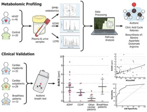 Biomolecules Free Full Text Metabolomics And A Breath Sensor