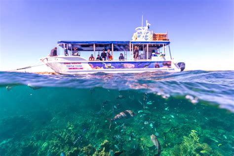 Fun Things To Do In Exmouth With Kids Exmouth Ningaloo Caravan