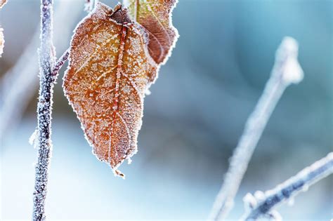 Wetter Update Frischer Wind Und Frostige N Chte In Baden