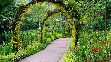 100 Botanical Garden Wallpapers Wallpapers