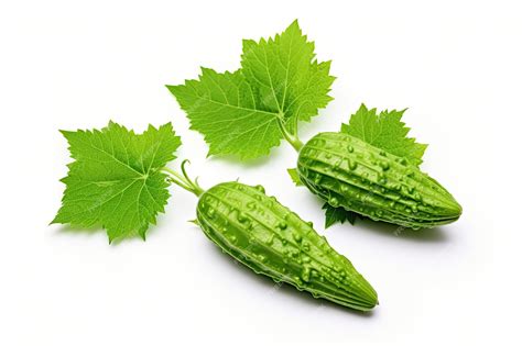 Premium Photo Bitter Melon Leaves Isolated On White Backdrop