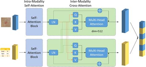 Frontiers A Deep Learning Based Multimodal Fusion Model For Skin