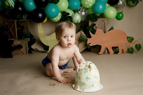 Dinosaur cake smash | Andrea Ryerson Photography