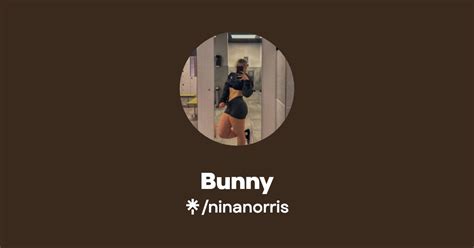 Bunny Instagram Tiktok Linktree