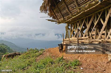 Adi Tribe Photos and Premium High Res Pictures - Getty Images