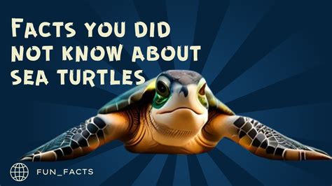 Fun Facts About Sea Turtles Sea Turtles Hatching Sea Turtles