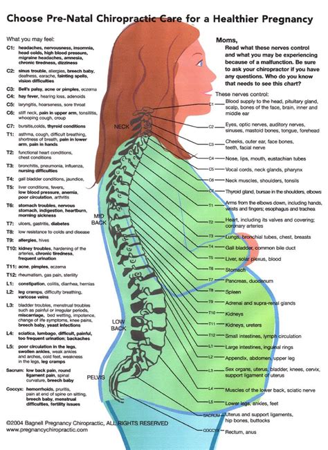 Wellness For Life Chiropractic Healthier Pregnancy