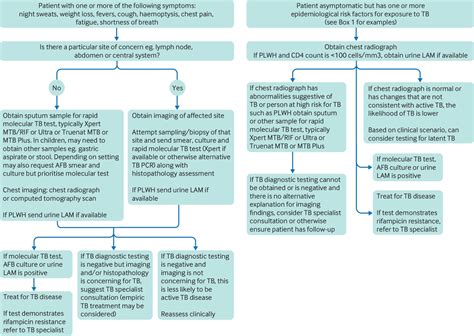 Diagnosing Active Tuberculosis In Primary Care The BMJ