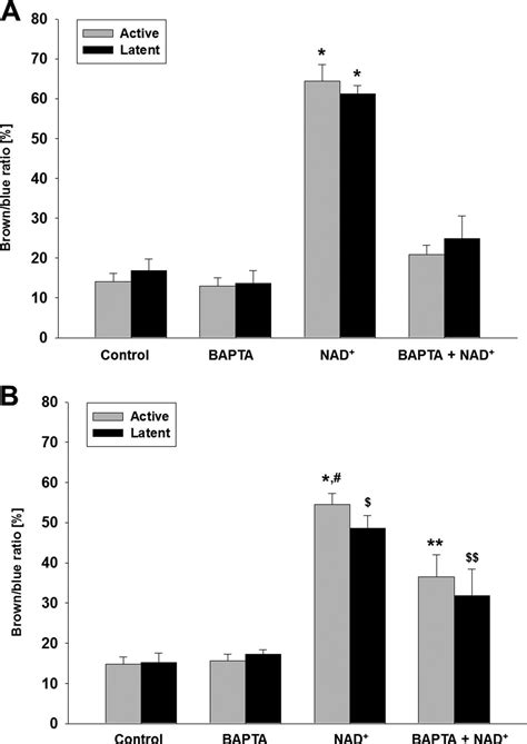 Identification Of A Novel Pathway Of Transforming Growth Factor β1