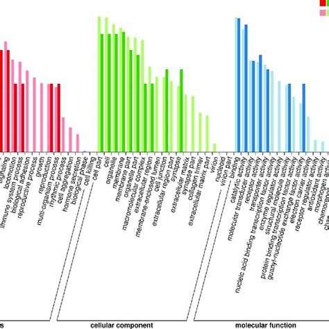 Go Functional Classification Of Annotated Genes In Transcriptome