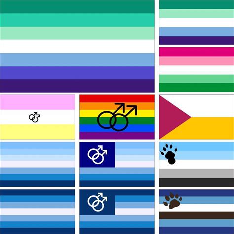 Lgbt Gay Man Flag Male Gay Otter Rainbow Twink Pride Uranian Community Vincian Ebay