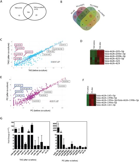 Co Culture Alters Mirna Concentrations Venn Diagram Comparison For