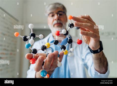 Mature Scientist Holding Helix Model In Laboratory Stock Photo Alamy