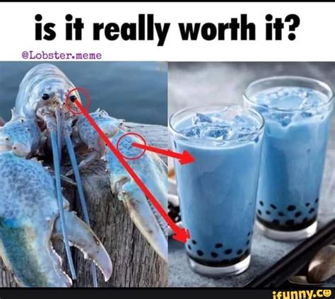 Is It Really Worth It Lobstermeme Ifunny Brazil