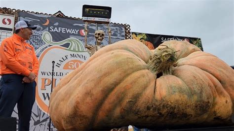 US Teacher Grows The World's Heaviest Pumpkin Weighing 1,247 Kg; Sets ...