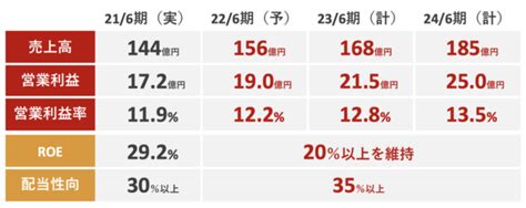 デジタル・インフォメーション・テクノロジー3916業績・cf・配当・オーナー利益分析 100年投資の未来