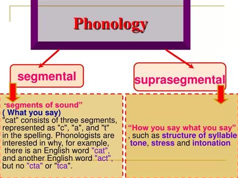 PPT - Phonology PowerPoint Presentation, free download - ID:686112