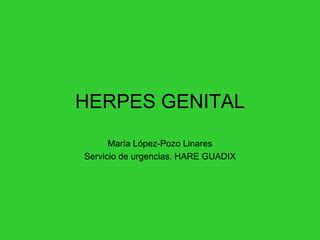 Herpes Genital Ppt Descarga Gratuita