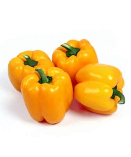 A Grade Fresh Yellow Capsicum For Cooking Packaging Size Kg At Rs