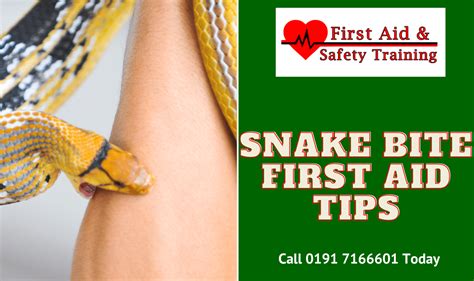 Snake Bite First Aid Tips First Aid And Safety Training