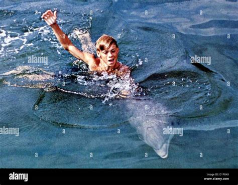 Flipper Movie Stock Photos And Flipper Movie Stock Images Alamy