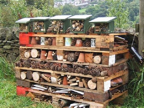 Creating A Native Bee Home Insect Hotel Pallets Garden Bug Hotel