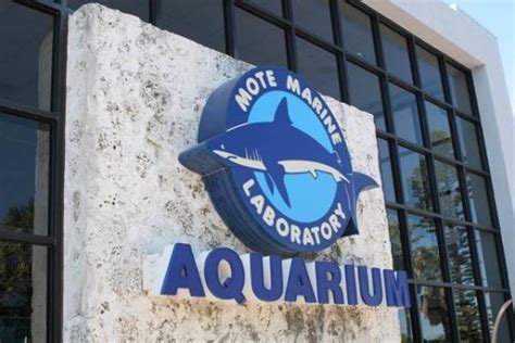 Mote Marine Laboratory & Aquarium - Travel & Recreation - Lido Key ...