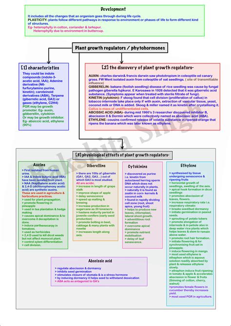 SOLUTION Plant Growth And Development Mind Map Studypool