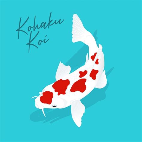 Ilustración del pez kohaku koi dibujada a mano Vector Premium