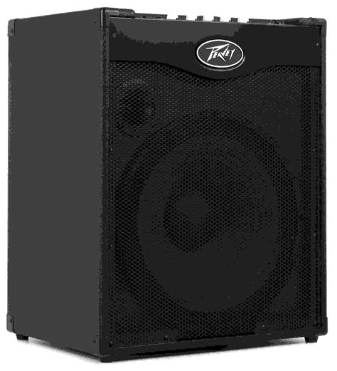 Peavey Max 115 1x15 300 Watt Bass Combo Sweetwater