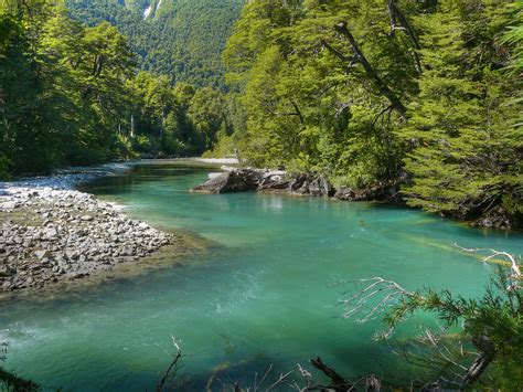 Parque Nacional Los Alerces Chubut Tripin Argentina