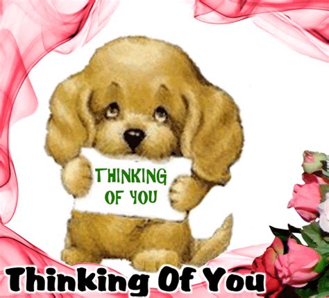 Express Your Love With Thinking Of You Cute That Will Brighten Up