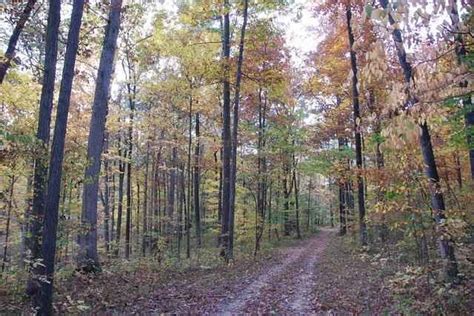 Acres In Vermillion County Indiana Illinois Indiana Farm Real