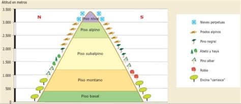 La clase en casa GEOGRAFÍA Los paisajes de España Esquema