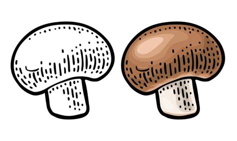 Premium Vector Champignon Vintage Color Vector Engraving Illustration