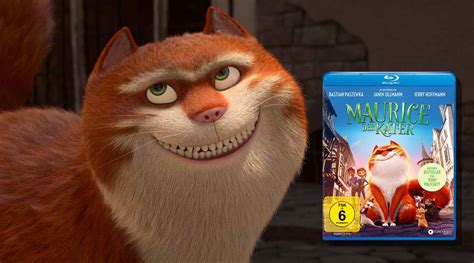 Maurice Der Kater Gewinnspiel Zum Heimkinostart Des Animationsfilms