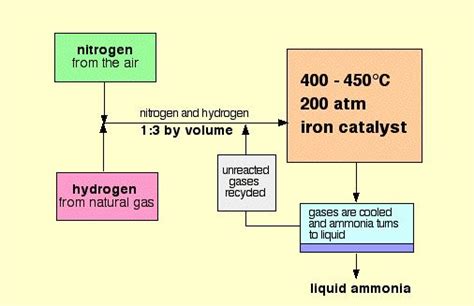 Haber Process Dynamic Equilibrium