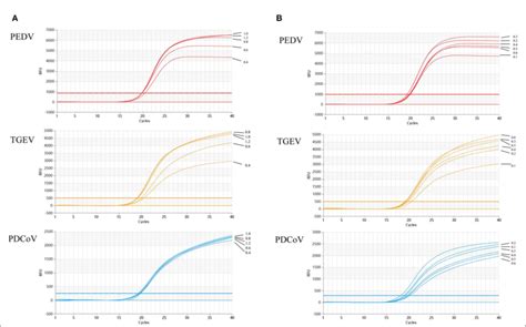 FIGURE Optimization Of Multiplex QRT PCR System A Shows The Results