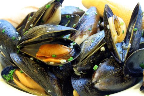 Steamed mussels recipe | Salon.com