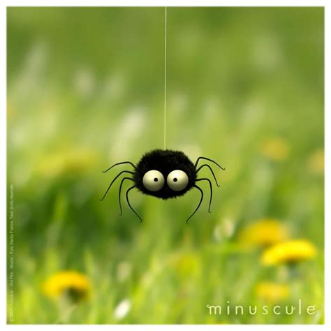 Minuscule Spider Illustration Whimsical Art Animation