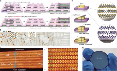 The Nucleationcontrolled Synthesis Of Semiconducting Tmdcs Single