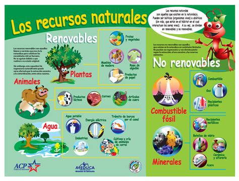 Ejercicio De Recursos Naturales Renovables Y No Renovables Cards