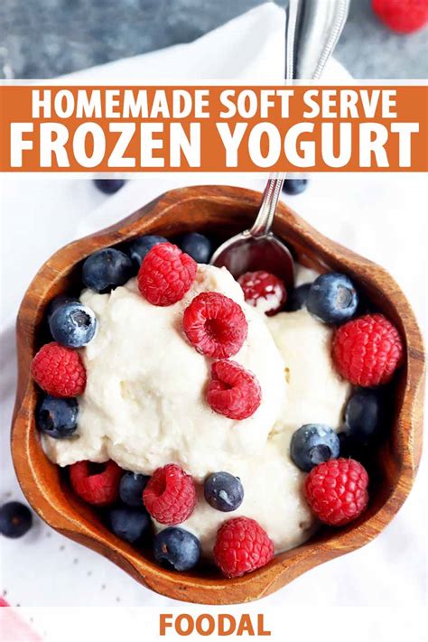 Soft Serve Frozen Yogurt Recipe Foodal